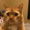 hi - @stephanieroll35 - TikTok