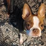 Stephanie Roll-Miller - @empathsteph - Instagram