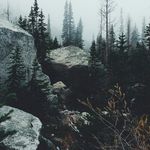 Stephanie Rolls - @junglefevergirl7 - Instagram