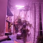 Stephanie Romans André - @stoof37700 - Instagram