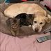 Stephanie Rood - Facebook