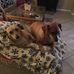 Steph Rossler - Facebook