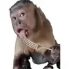 Stephanie Santa Mari - @stephsm91 - TikTok