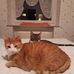 Stefanie Sauerstein - Facebook