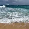 Stephani Scheer - @stephani.scheer - TikTok