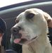 Stephanie Scheibler - Facebook