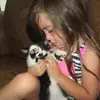 stephaniesee - @stephaniesee - TikTok