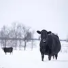 Stephanie Semple678 - @mrssemple - TikTok