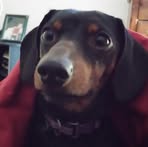 Stephanie Settle - Facebook