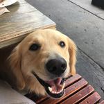 Stephanie Bender Sewell - @gator4food - Instagram