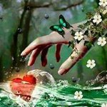 Stephanie Sewell - @stephanie.sewell.773 - Instagram