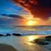 Stephanie Shear - Facebook