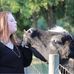 Stephanie Shimer - Facebook