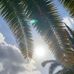 Stephanie Shotts Ivie - Facebook