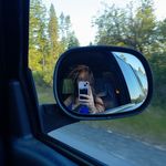 Stephanie Showalter - @sstephanieshowalter - Instagram