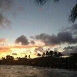 Stephanie Showalter - @stephanie_is_home - Instagram