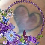 Stephanie Shute - @shute39 - Instagram