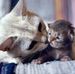 Stephanie Sidebottom - Facebook