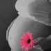 Stephanie Sidebottom - Facebook