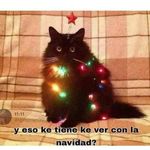 Stephanie Silvas - @myawkward._.steph - Instagram