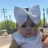 stephaniesilvasfe - @stephaniesilvasfe - TikTok