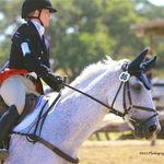Stephanie Simard - @stephsimard.eq - Instagram