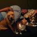 Stephanie Simko - Facebook