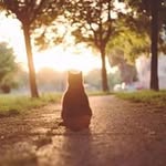 Stephanie Soong - @stephanie.soong - Instagram