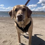 Stephanie Spohn - @stephaniespohn - Instagram