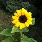Stephanie Squires - @springsteph15 - Instagram