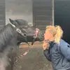 stephanie.squires - @stephanie.squires - TikTok