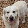 Stephanie Steffen - @stephanie.steffen - TikTok