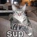 Stephanie Stonecipher - Facebook