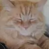 stephaniestrobel46 - @stephaniestrobel46 - TikTok