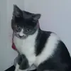 Stéphanie Strohl - @stphanie.strohl - TikTok