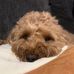 Stephanie Strohl Phillips - Facebook