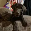 stephanietalbottm - @stephanietalbottm - TikTok