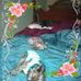 Stephanie Teel - Facebook