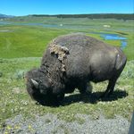 Stephanie Teeple - @team_teeple_travels - Instagram