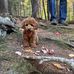 Stephanie Thain - Facebook