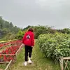 stephaniethaod - @stephaniethaod - TikTok
