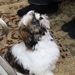 Stephanie Tinney - @stephanie.tinney.98 - Instagram