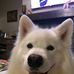 Stephanie Tinney - Facebook