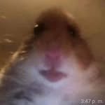 Stephanie Topete uwu - @stephanietopeteuwu - Instagram