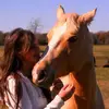 stephanietrapp75 - @ste.h47 - TikTok