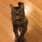 Stephanie Triggs - @stephanietriggs - Instagram