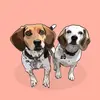Stephanie Tuck - @gingerandlila - TikTok