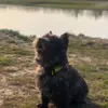 Stephanie van der Ploeg - @stephanievanderpl - TikTok