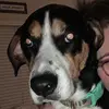 stephanievess143 - @stephanievess143 - TikTok