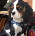 Stephanie Wallin - Facebook